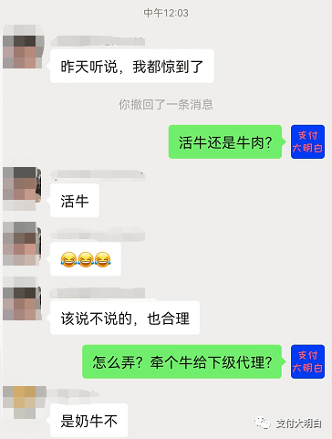 POS机提货送一头活牛，这次是真牛啊！！(图1)