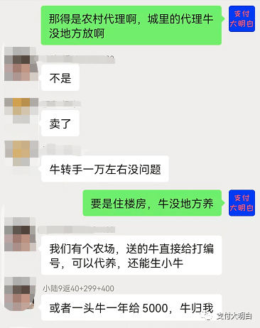 POS机提货送一头活牛，这次是真牛啊！！(图2)